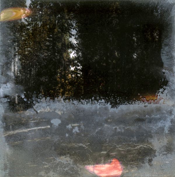 © Florence Iff - Amalgamated Fragmentation–Microbescape 1
