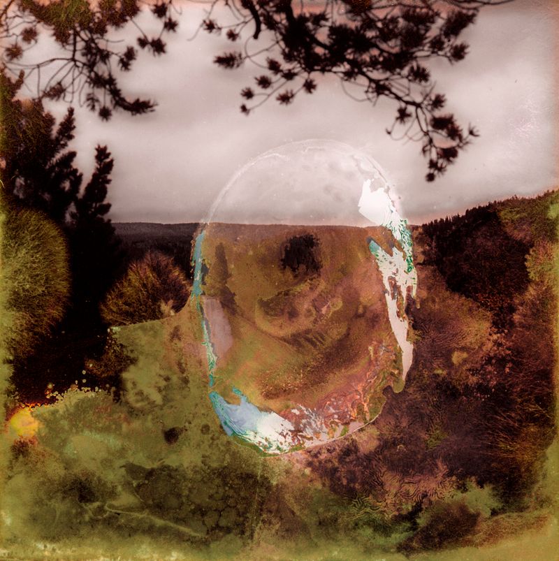 © Florence Iff - Amalgamated Fragmentation–Microbescape 16