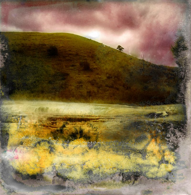 © Florence Iff - Amalgamated Fragmentation–Microbescape 17