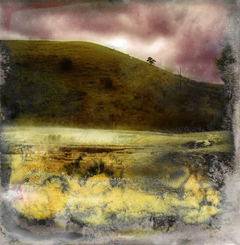 © Florence Iff - Amalgamated Fragmentation–Microbescape 17
