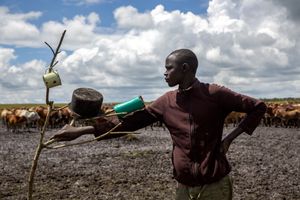 Rooted: Land, Livestock, and Legacy in the Masai Mara