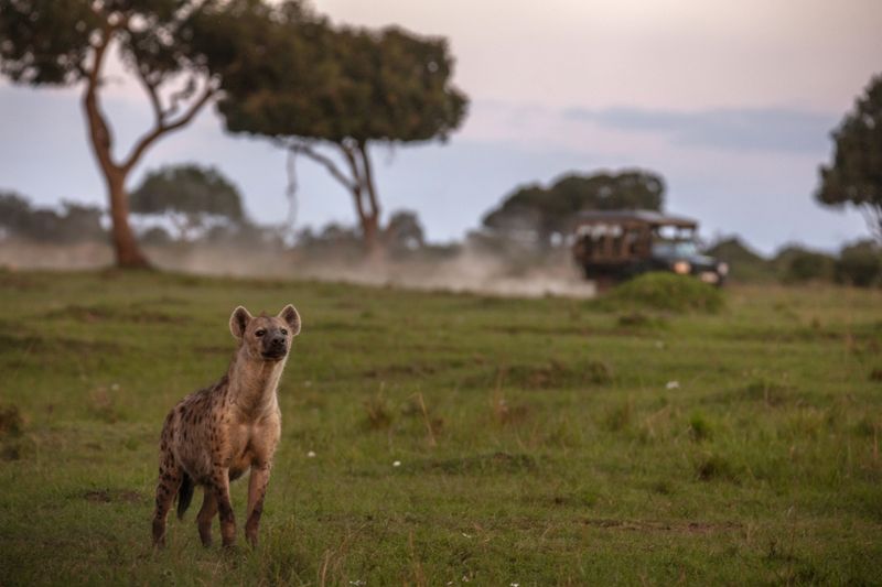 © Georgina Goodwin - Image from the Rooted: Land, Livestock, and Legacy in the Masai Mara photography project