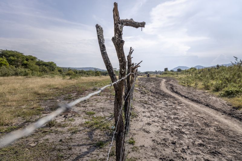 © Georgina Goodwin - Image from the Rooted: Land, Livestock, and Legacy in the Masai Mara photography project