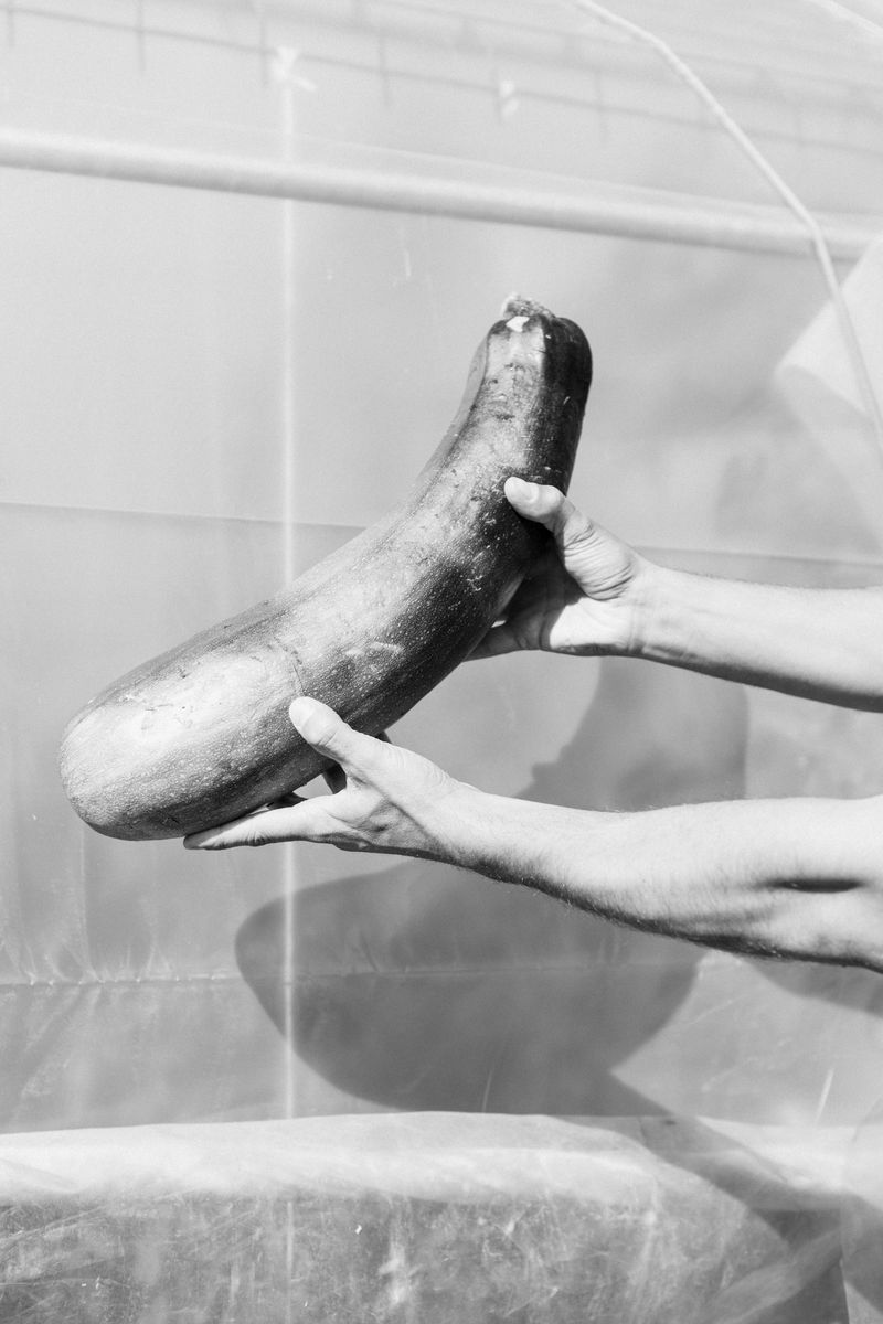 © Anna Bulgarelli - Image from the Darkness is brighter without light photography project