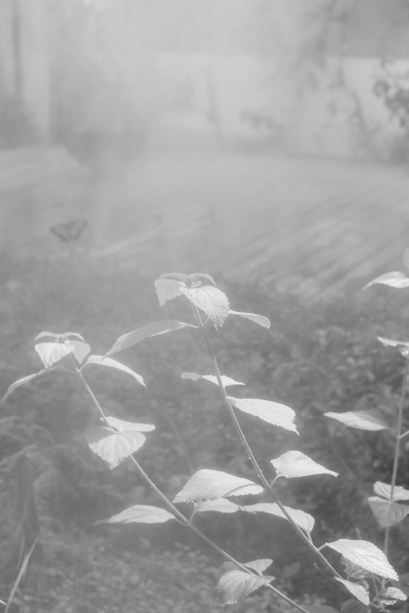 © Anna Bulgarelli - Image from the Aer-Aether photography project