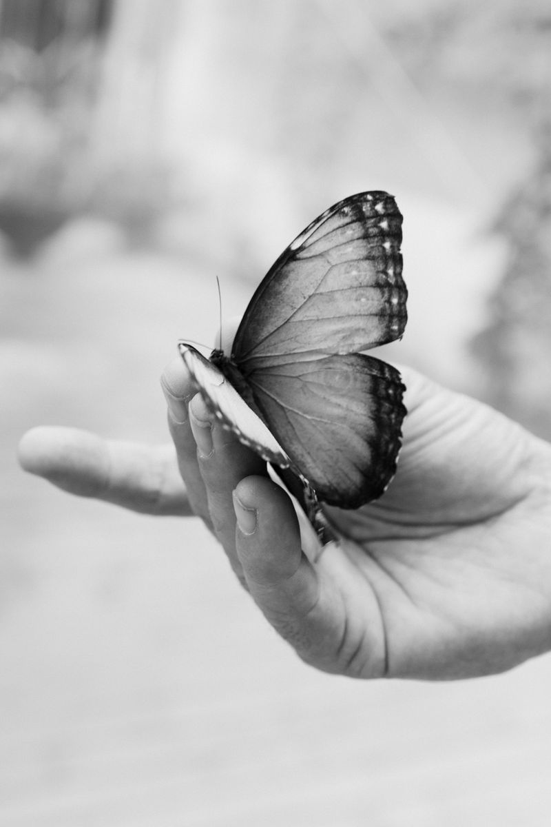 © Anna Bulgarelli - Image from the Aer-Aether photography project