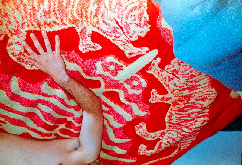 © Alcira Angelo - Image from the ELTIGREMEPERSIGUE photography project