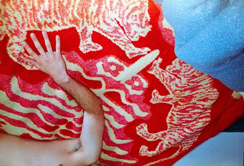 © Alcira Angelo - Image from the ELTIGREMEPERSIGUE photography project