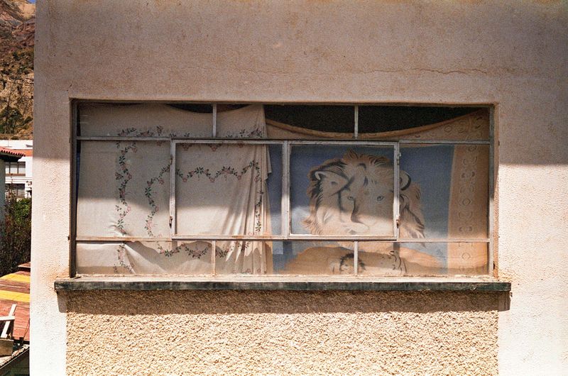 © Alcira Angelo - Image from the ELTIGREMEPERSIGUE photography project