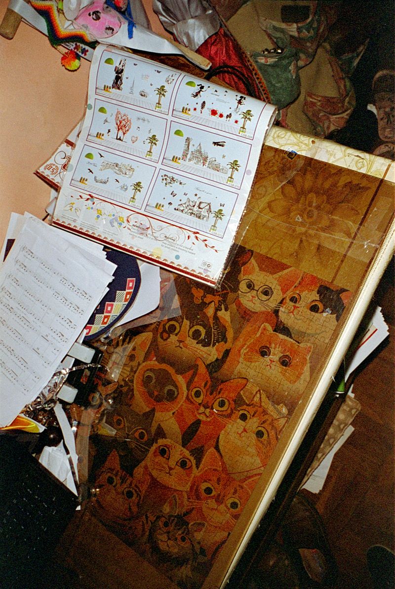 © Alcira Angelo - Image from the ELTIGREMEPERSIGUE photography project