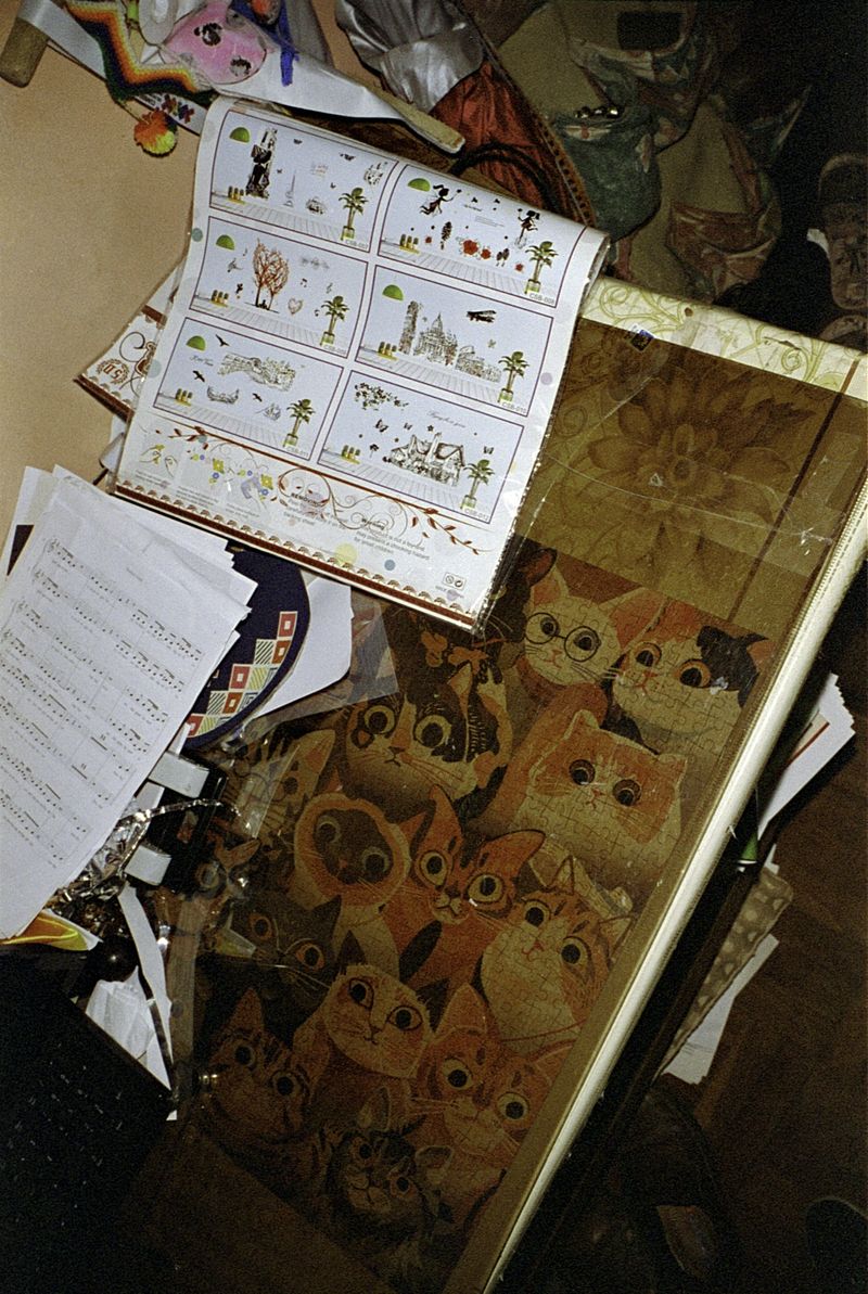 © Alcira Angelo - Image from the ELTIGREMEPERSIGUE photography project