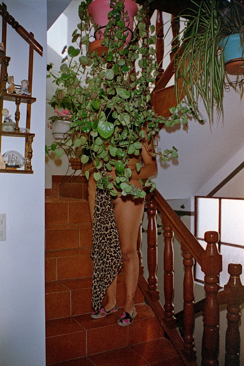 © Alcira Angelo - Image from the ELTIGREMEPERSIGUE photography project