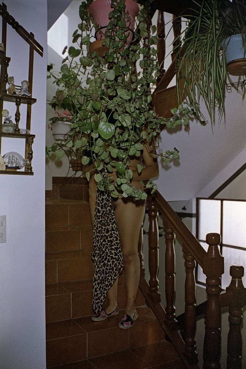 © Alcira Angelo - Image from the ELTIGREMEPERSIGUE photography project