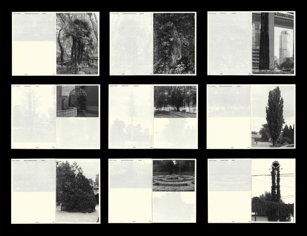 © 雪纯 王 - Inside page display image