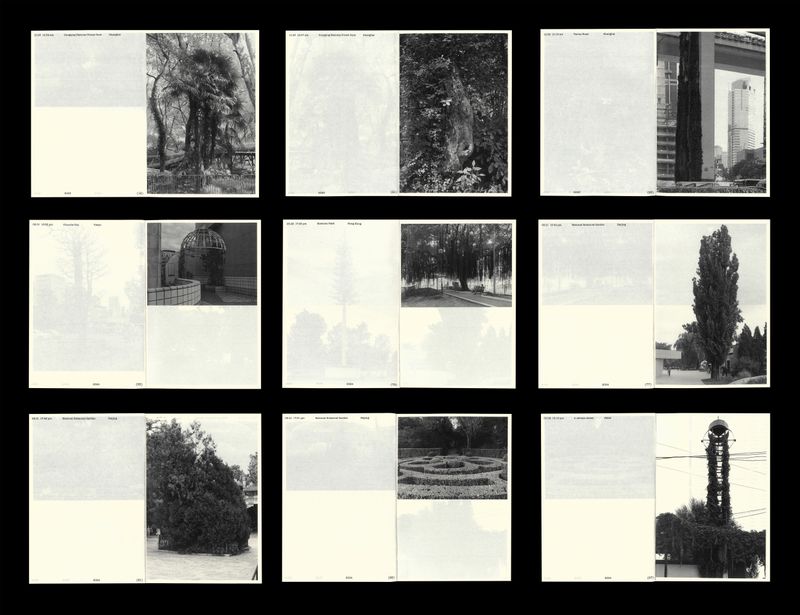 © 雪纯 王 - Inside page display image