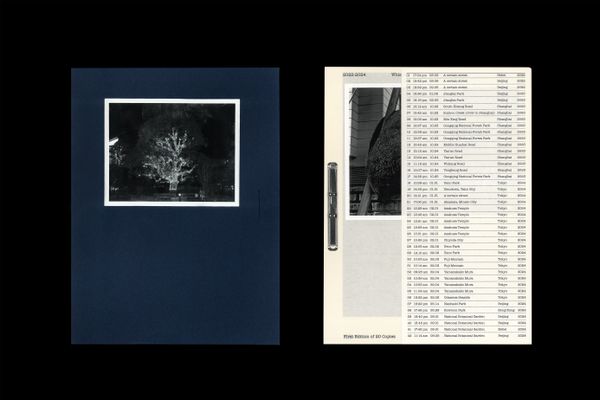 © 雪纯 王 - Outer and inner book covers