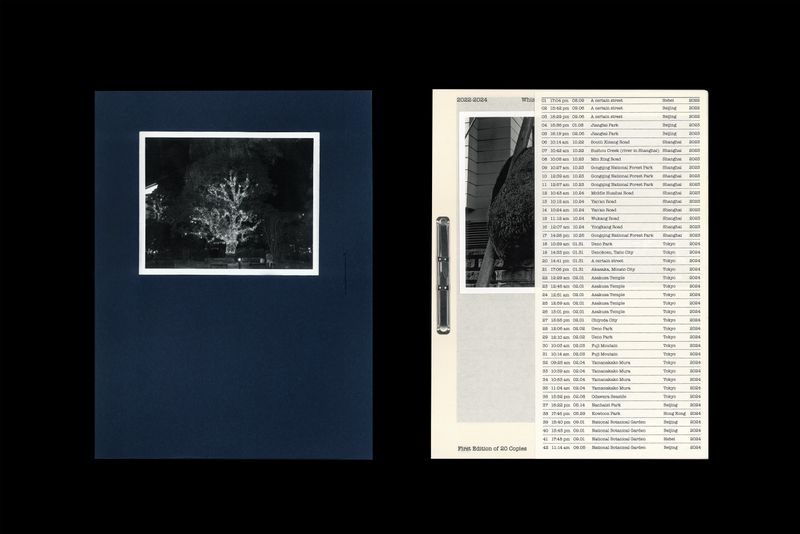 © 雪纯 王 - Outer and inner book covers