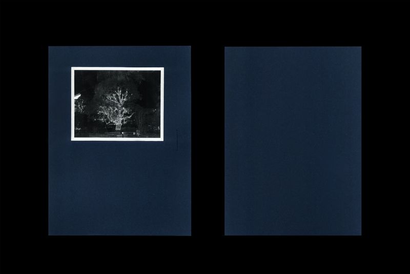 © 雪纯 王 - Front and back of outer cover