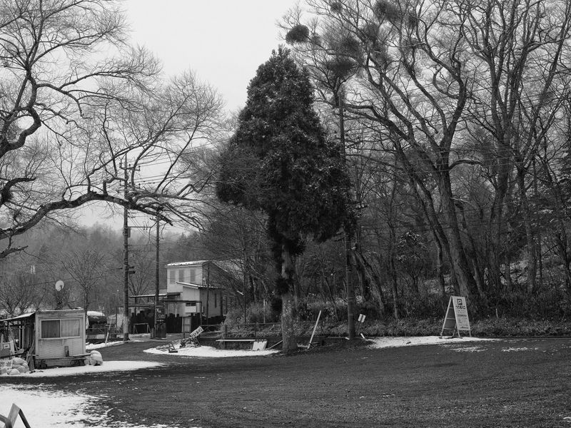 © 雪纯 王 - Image from the Whisper photography project