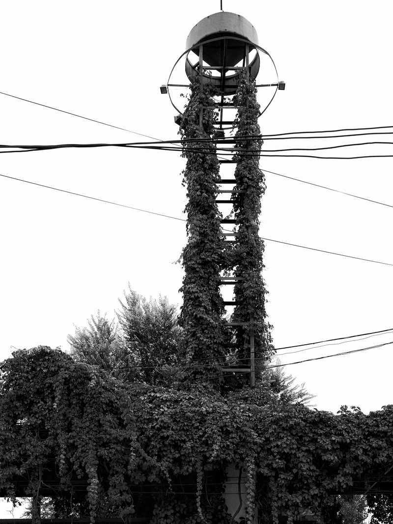 © 雪纯 王 - 09.08  15:19 pm/A certain street/Hebei/2024