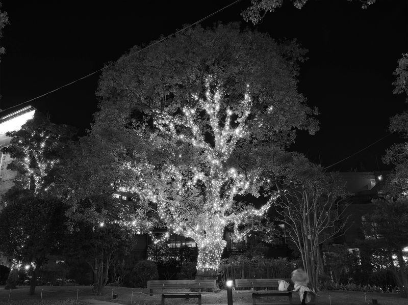 © 雪纯 王 - 01.31  17:06 pm/Akasaka, Minato City/Tokyo/2024