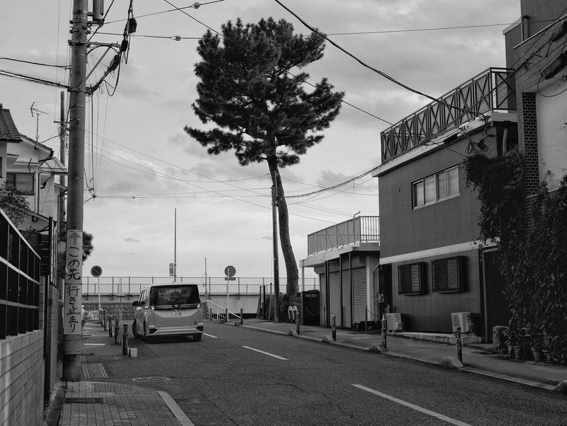 © 雪纯 王 - 02.08  15:52 pm/Odawara Seaside/Tokyo/2024