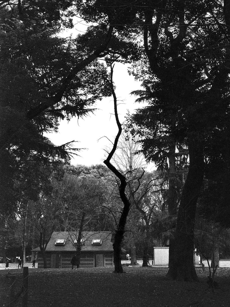 © 雪纯 王 - Image from the Whisper photography project