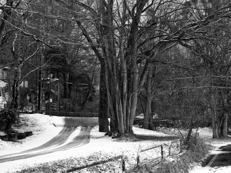 © 雪纯 王 - 02.04  11:04 am/Yamanakako Mura/Tokyo/2024