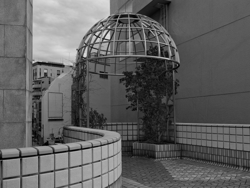 © 雪纯 王 - Image from the Whisper photography project