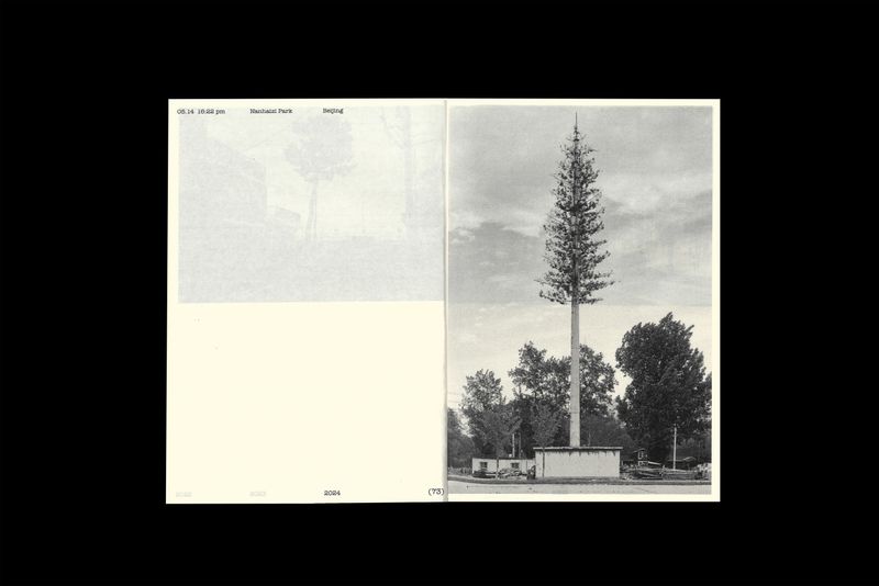 © 雪纯 王 - Image from the Whisper photography project