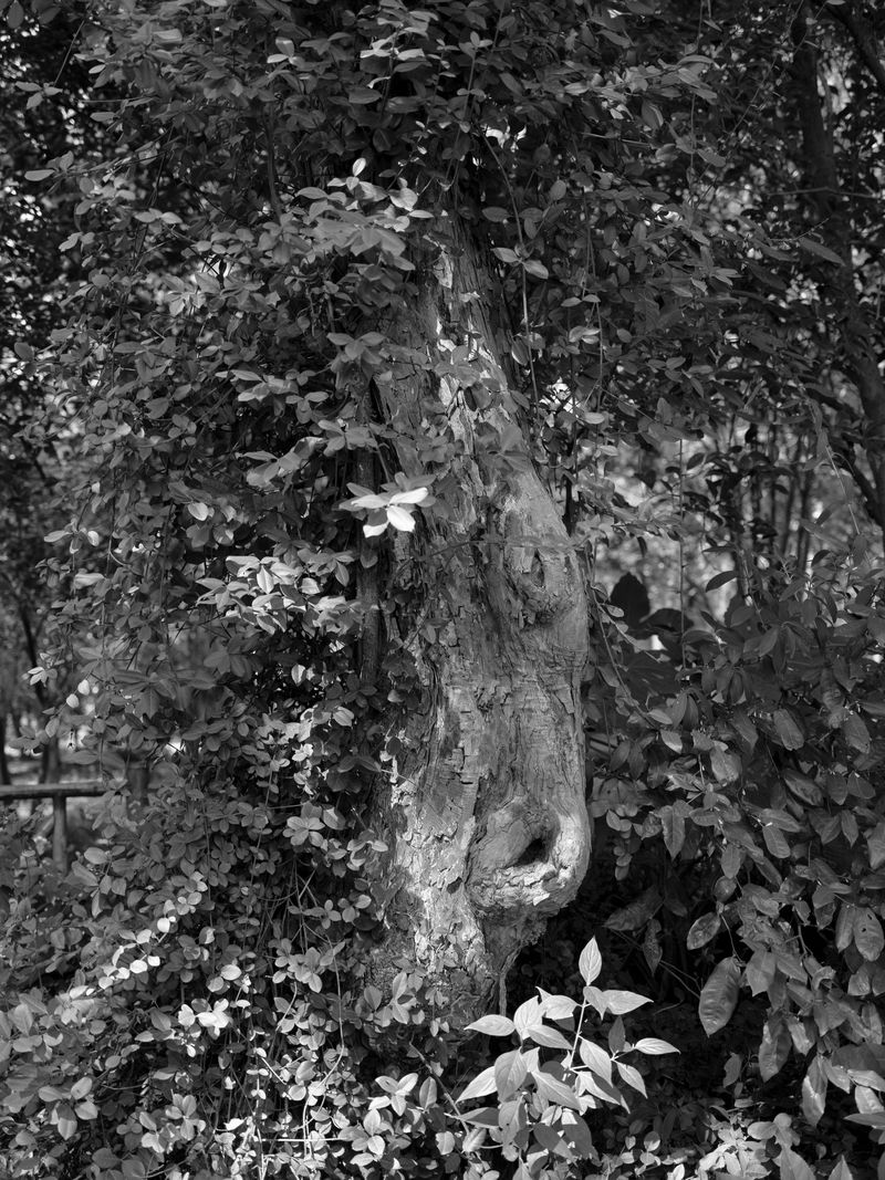 © 雪纯 王 - Image from the Whisper photography project