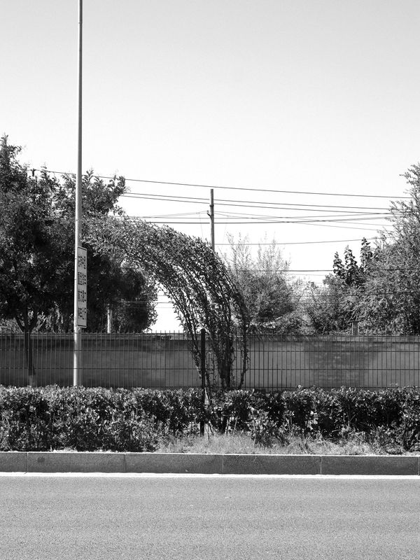 © 雪纯 王 - Image from the Whisper photography project