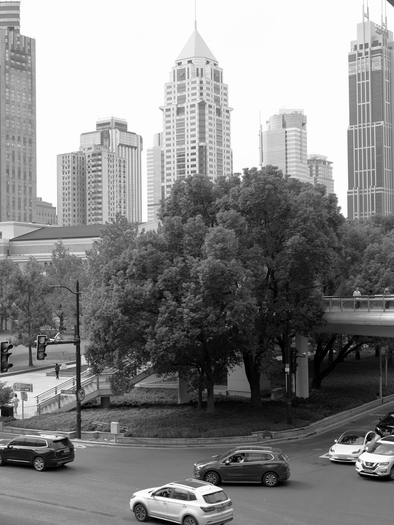 © 雪纯 王 - Image from the Whisper photography project