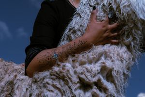 Posthumans and cyborg dreams of + beings in the Andes