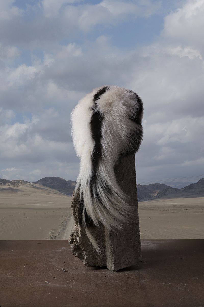 © Giulia Barcaro - Image from the BEAST photography project