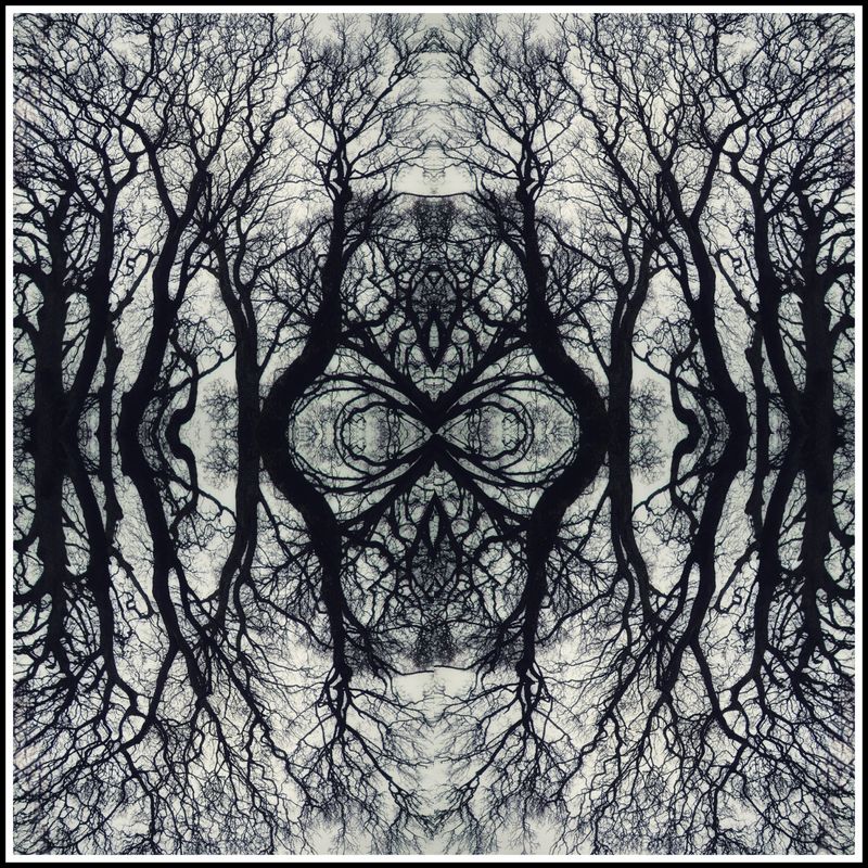 © Rebecca Dolan - Return to the Earth