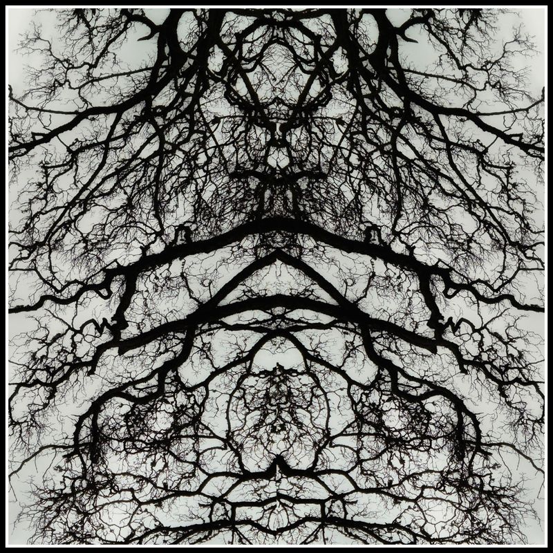 © Rebecca Dolan - Grounded