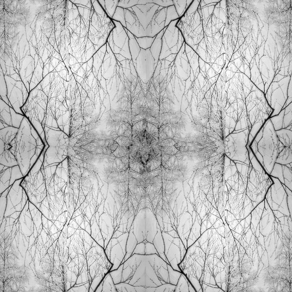 © Rebecca Dolan - Connected to the Earth