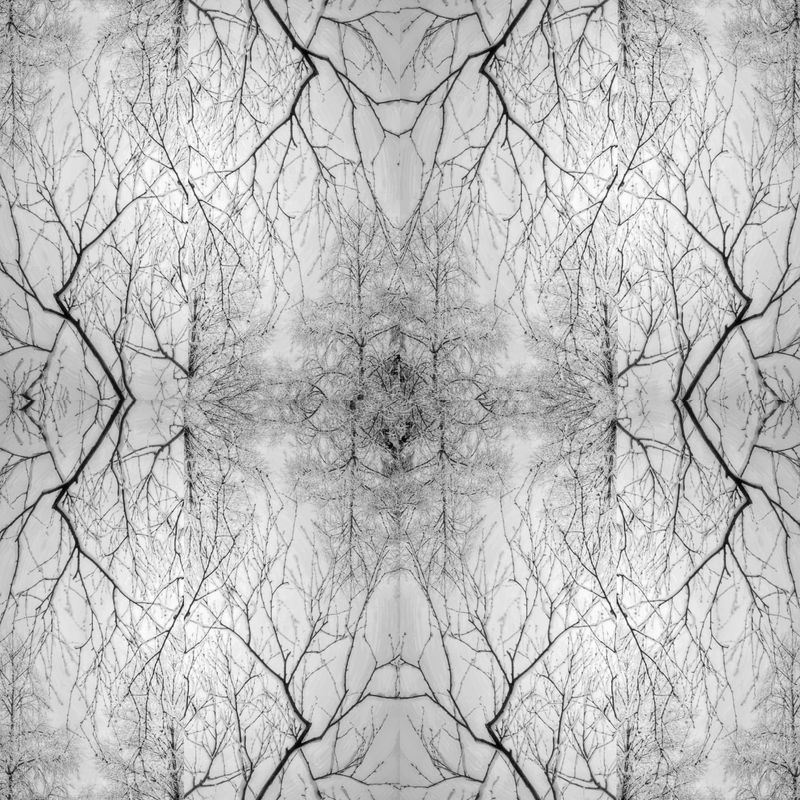 © Rebecca Dolan - Connected to the Earth