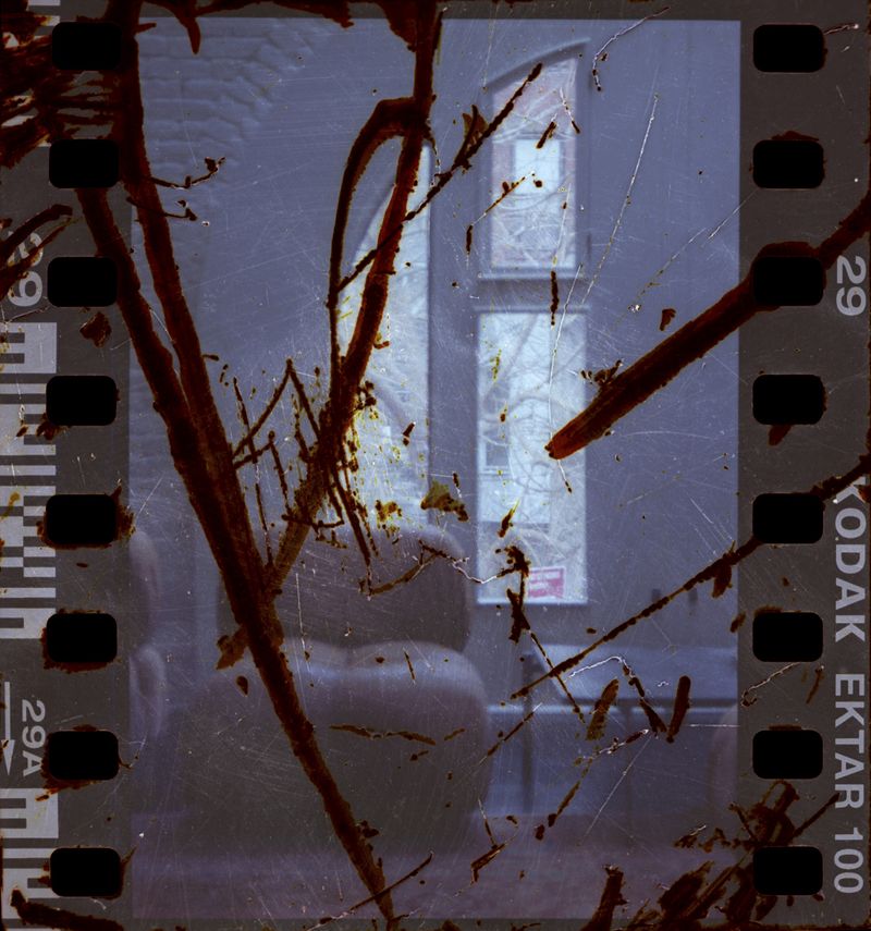 © Judyta Grudzien - Image from the We Love You photography project