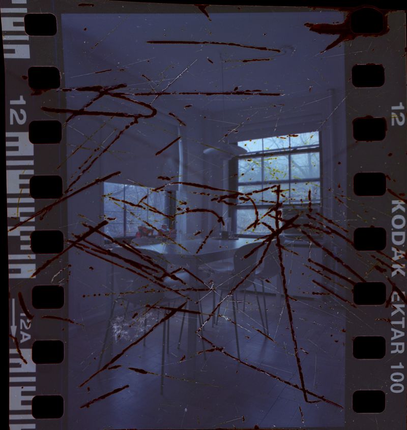 © Judyta Grudzien - Image from the We Love You photography project