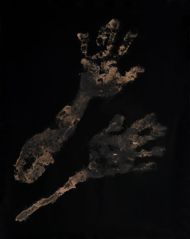 © Judyta Grudzien - Title: #9 of X Medium: 16x20 one of the kind chemigram on fiber paper created with house cleaning products.