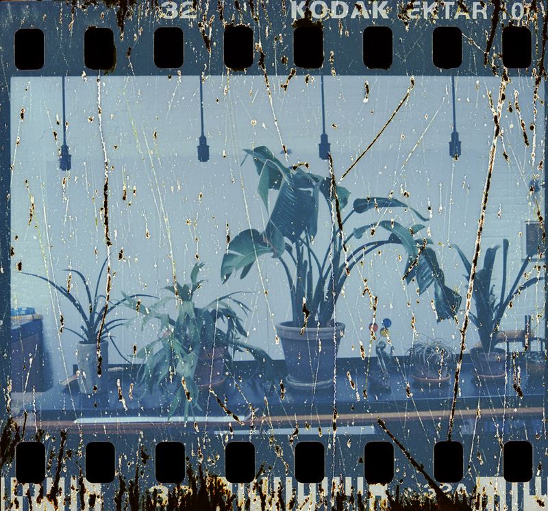 © Judyta Grudzien - Image from the We Love You photography project