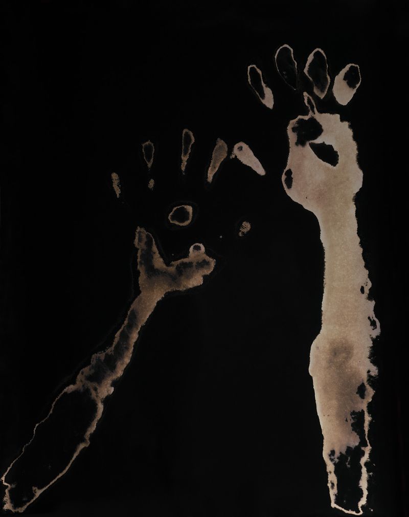 © Judyta Grudzien - Title: #2 of X Medium: 16x20 one of the kind chemigram on fiber paper created with house cleaning products.