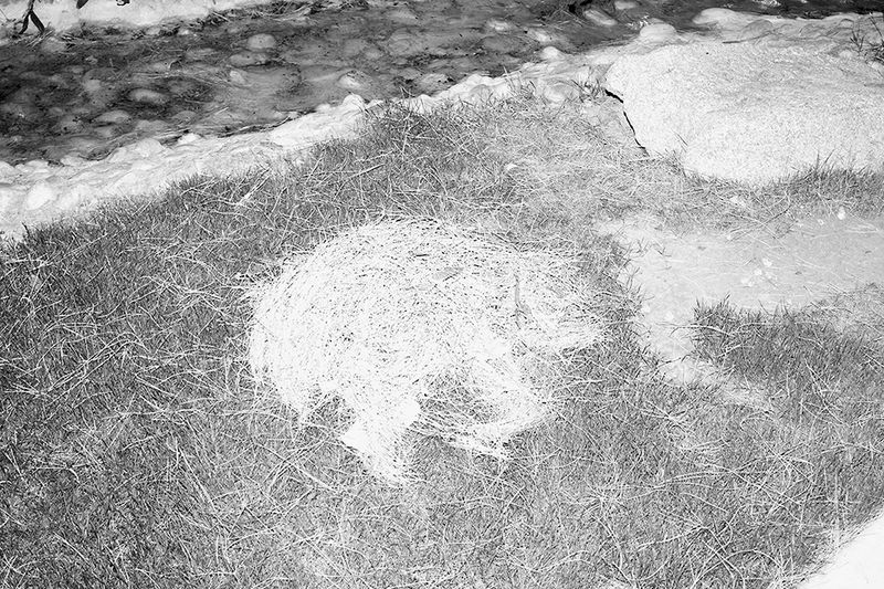 © Alfonso Fonseca - Image from the It Could Have Happened Here photography project