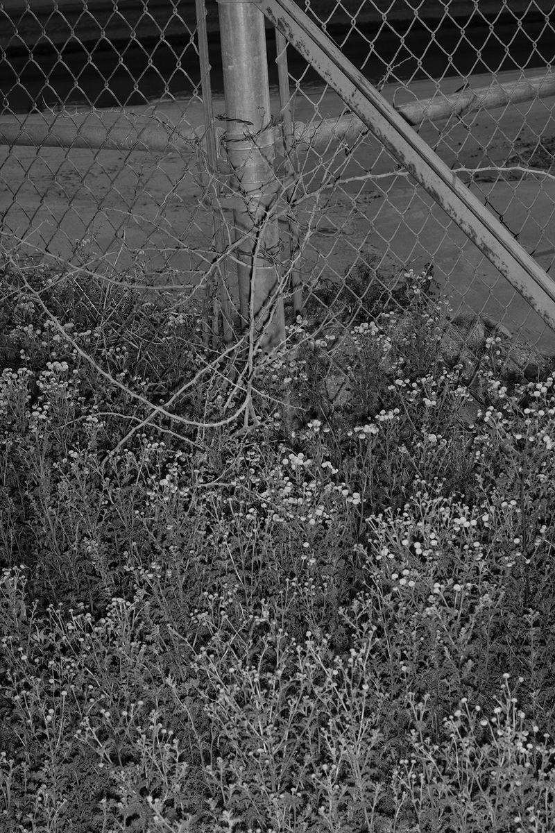 © Alfonso Fonseca - Image from the It Could Have Happened Here photography project