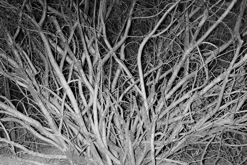 © Alfonso Fonseca - Image from the It Could Have Happened Here photography project