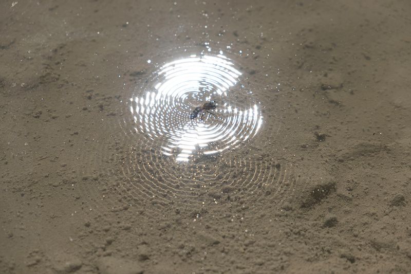 © Marie Hervé & Elsa Martinez - Pharmakon, Nice (FR)