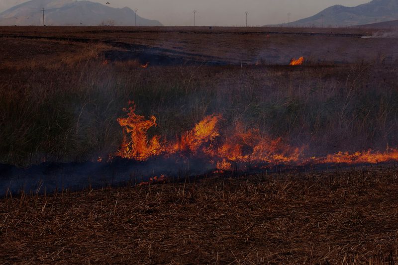 © Marie Hervé & Elsa Martinez - Wildfire, Sicily (IT)