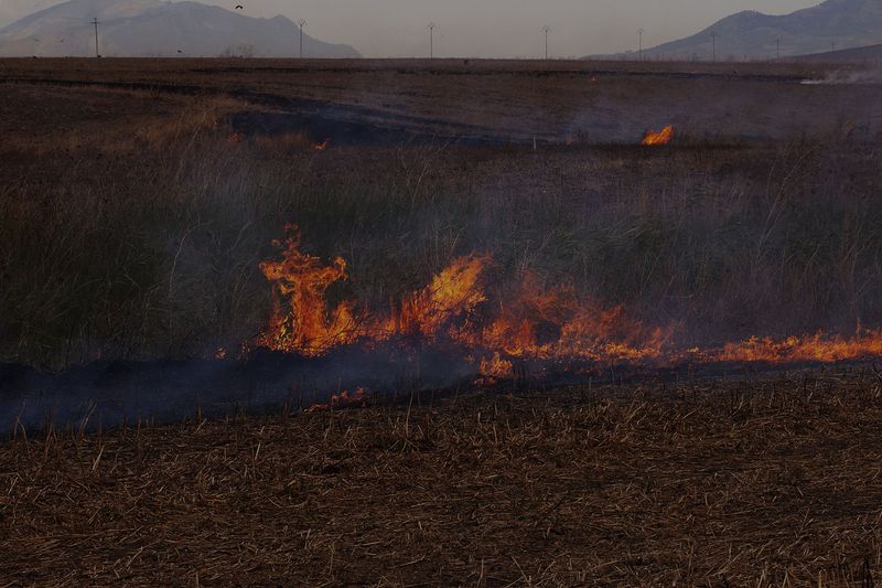 © Marie Hervé & Elsa Martinez - Wildfire, Sicily (IT)